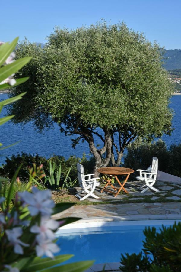Villa Vetricella Corse Sud Olmeto  Eksteriør billede