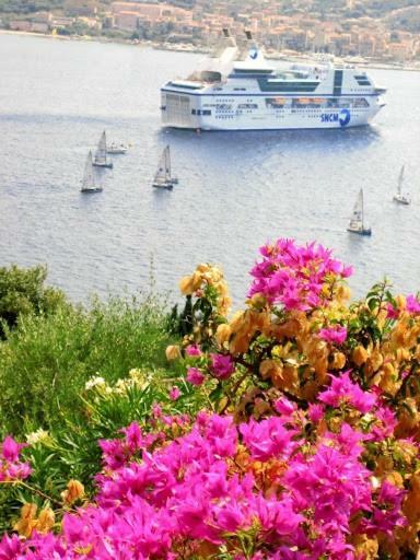 Villa Vetricella Corse Sud Olmeto  Eksteriør billede
