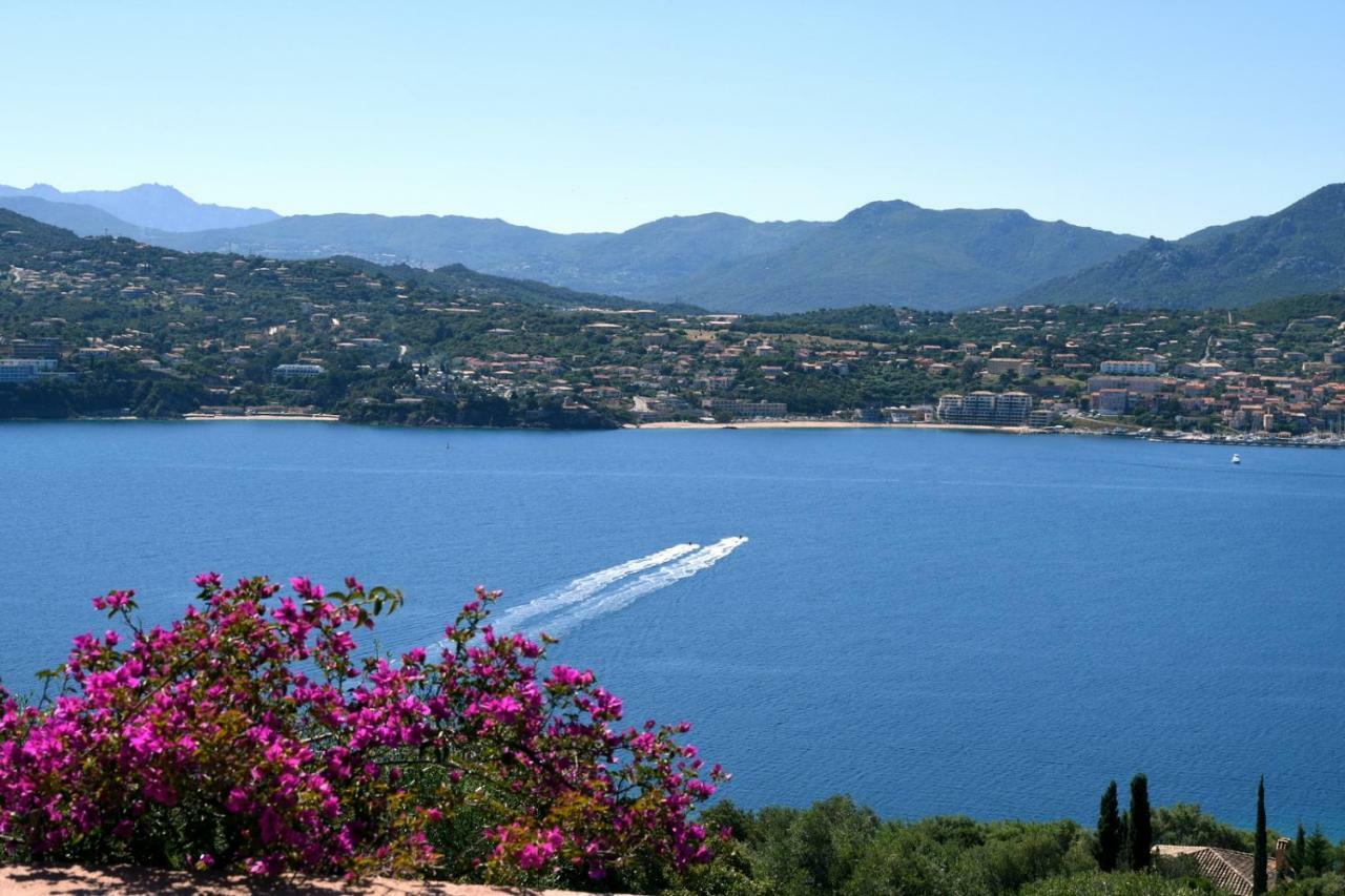 Villa Vetricella Corse Sud Olmeto  Eksteriør billede