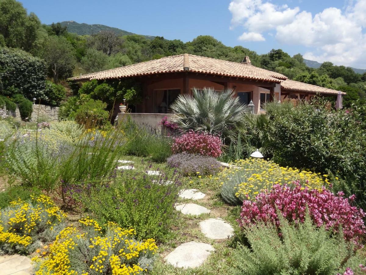 Villa Vetricella Corse Sud Olmeto  Eksteriør billede