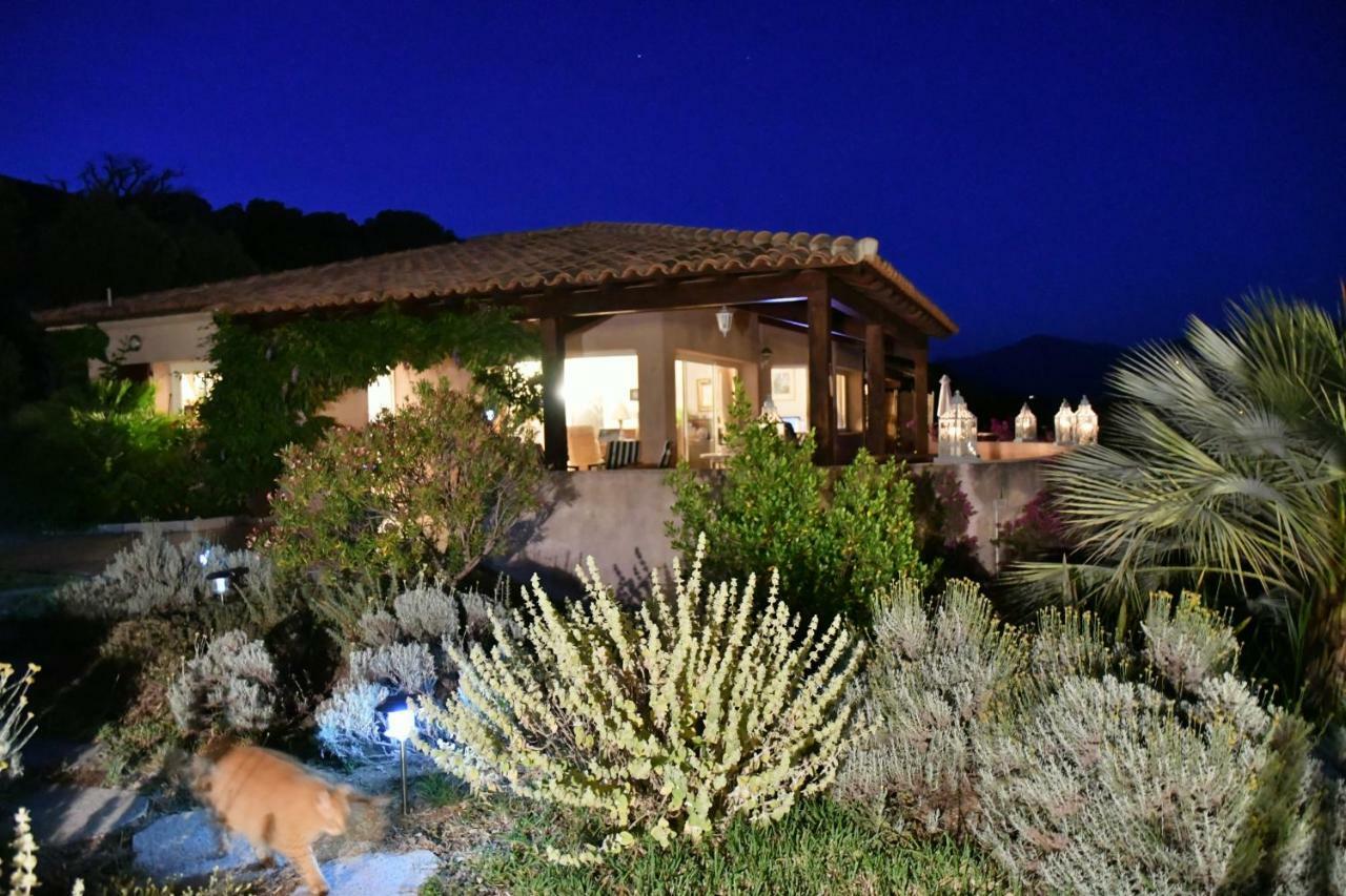 Villa Vetricella Corse Sud Olmeto  Eksteriør billede